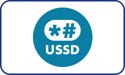ussd logo